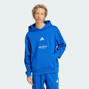 Obrázek produktu Mikina ALL SZN Fleece Graphic Adidas