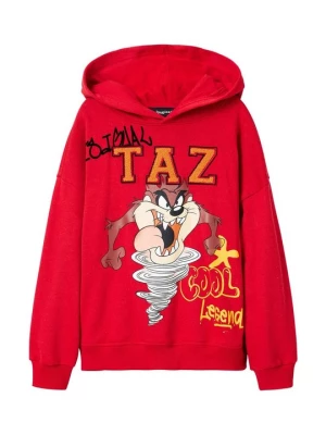 Obrázek produktu Mikina Desigual