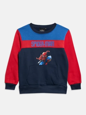Obrázek produktu Mikina Disney