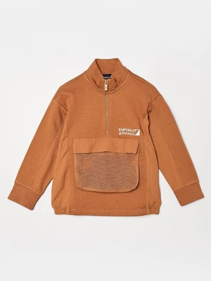 Obrázek produktu Mikina Emporio Armani hnědá