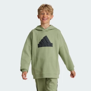 Obrázek produktu Mikina Future Icons Logo Hooded Adidas