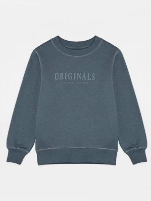 Obrázek produktu Mikina Jack & Jones Kids