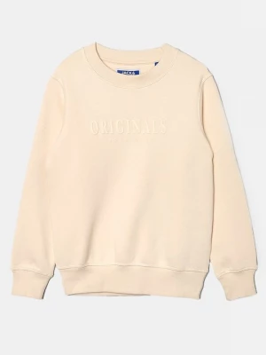 Obrázek produktu Mikina Jack & Jones Kids