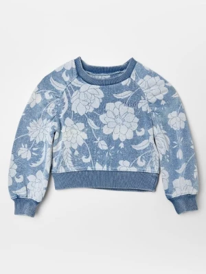 Obrázek produktu Mikina Levi's