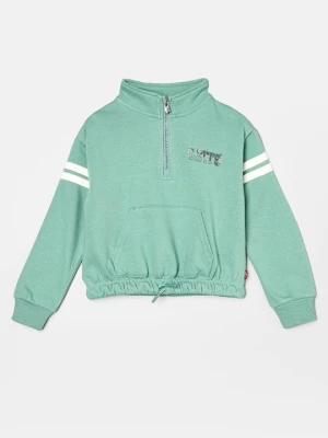 Obrázek produktu Mikina Levi's zelená