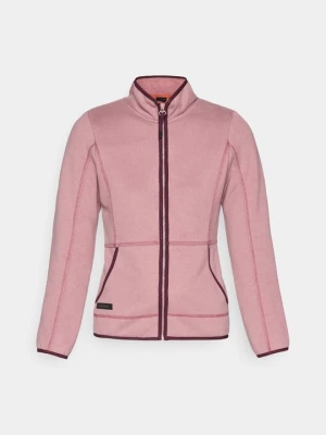 Obrázek produktu Mikina na zip icepeak