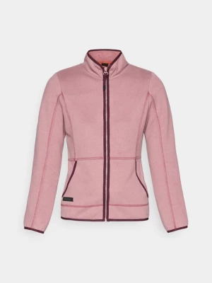 Obrázek produktu Mikina na zip icepeak lila