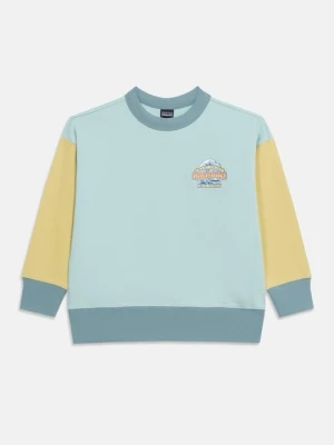 Obrázek produktu Mikina Patagonia