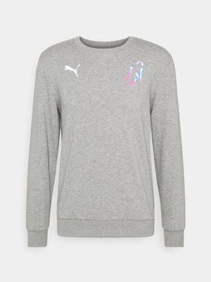 Obrázek produktu Mikina Puma