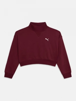 Obrázek produktu Mikina Puma červená