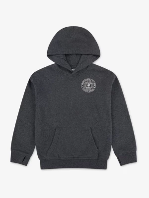 Obrázek produktu Mikina s kapucí Abercrombie & Fitch