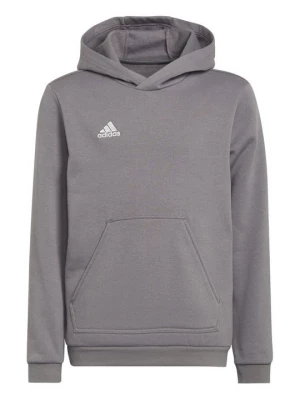 Obrázek produktu Mikina s kapucí Adidas