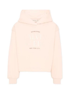 Obrázek produktu Mikina s kapucí Calvin Klein růžová