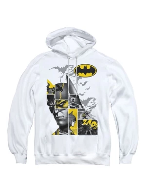 Obrázek produktu Mikina s kapucí DC COMICS ORIGINALS