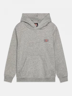 Obrázek produktu Mikina s kapucí Dickies