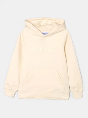 Obrázek produktu Mikina s kapucí Jack & Jones Kids