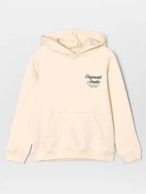 Obrázek produktu Mikina s kapucí Jack & Jones Kids