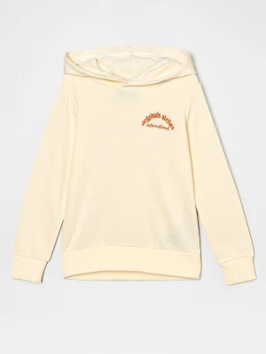 Obrázek produktu Mikina s kapucí Jack & Jones Kids