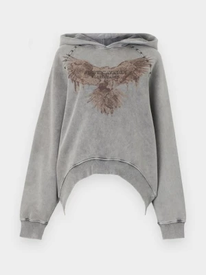 Obrázek produktu Mikina s kapucí Just Cavalli