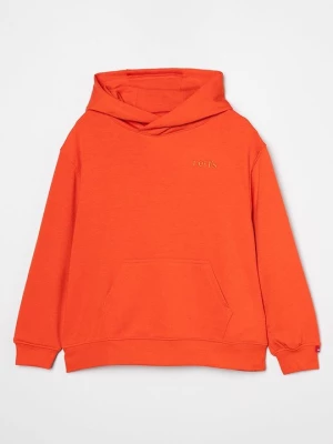 Obrázek produktu Mikina s kapucí Levi's®