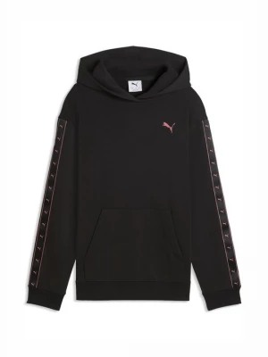 Obrázek produktu Mikina s kapucí Puma černá