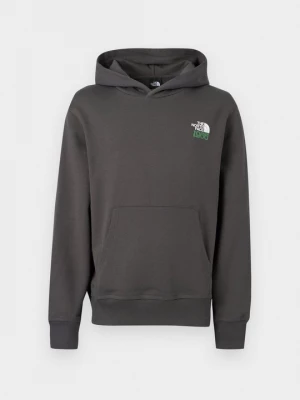 Obrázek produktu Mikina s kapucí The North Face