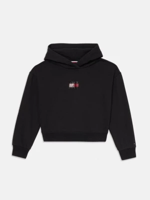 Obrázek produktu Mikina s kapucí Tommy Hilfiger