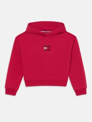 Obrázek produktu Mikina s kapucí Tommy Hilfiger