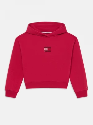 Obrázek produktu Mikina s kapucí Tommy Hilfiger červená