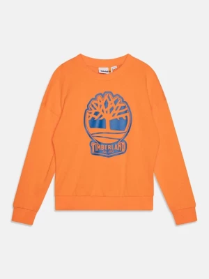 Obrázek produktu Mikina Timberland