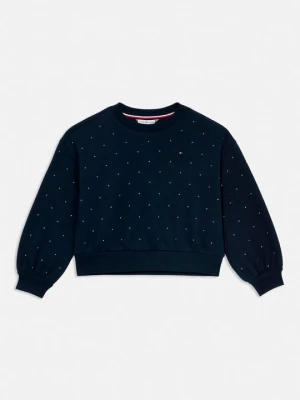 Obrázek produktu Mikina Tommy Hilfiger tmavě modrá
