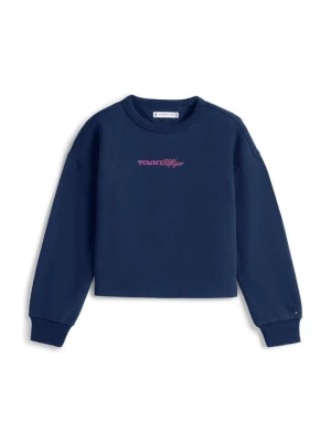 Obrázek produktu Mikina Tommy Hilfiger tmavě modrá