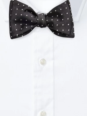 Obrázek produktu Motýlek Polo Ralph Lauren černá
