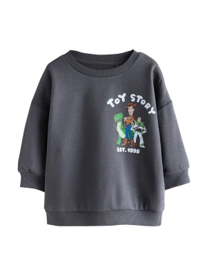 Obrázek produktu Next Mikina 'Toy Story' hnědá / antracitová / zelená / bílá