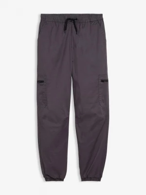 Obrázek produktu Ocieplane spodnie bojówki z dżersejową podszewką o kroju loose fit BonPrix szary