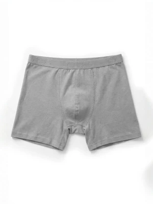 Obrázek produktu ÖTS Boxerky 'ÖTS Herren Boxer Shorts' světle šedá