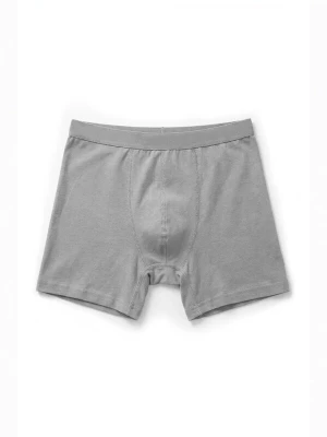 Obrázek produktu ÖTS Boxerky 'ÖTS Herren Boxerbriefs' šedá