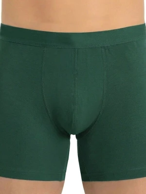 Obrázek produktu ÖTS Boxerky 'ÖTS Herren Boxerbriefs' tmavě zelená