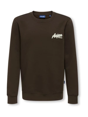 Obrázek produktu Only & Sons Junior Mikina 'Connor Snow' světle béžová / tmavě hnědá