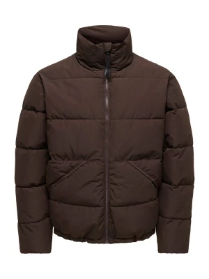 Obrázek produktu Only & Sons Zimní bunda 'ONSPack' čokoládová