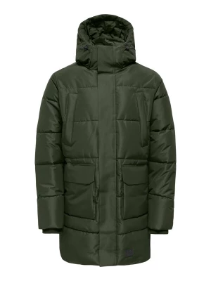 Obrázek produktu Only & Sons Zimní parka 'CAM ' tmavě zelená