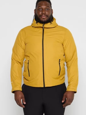 Obrázek produktu Outdoorová bunda icepeak žlutá