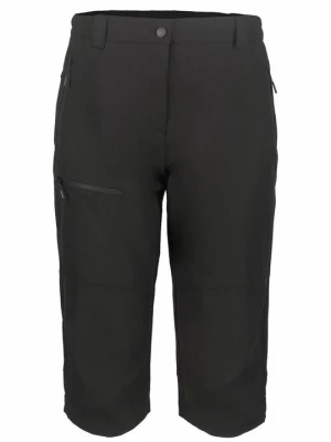 Obrázek produktu Outdoorové kraťasy icepeak