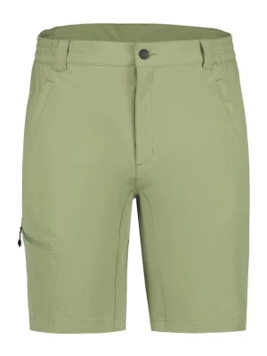 Obrázek produktu Outdoorové kraťasy icepeak