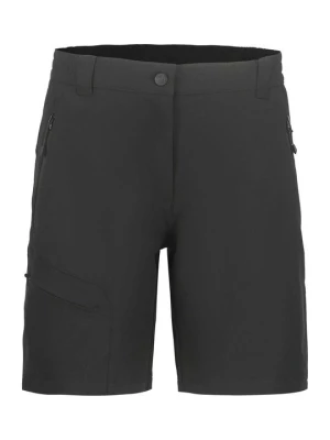 Obrázek produktu Outdoorové kraťasy icepeak