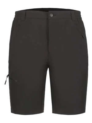 Obrázek produktu Outdoorové kraťasy icepeak