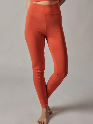 Obrázek produktu OWN Off With Nature Legíny 'Leggings a Vita Alta' humrová