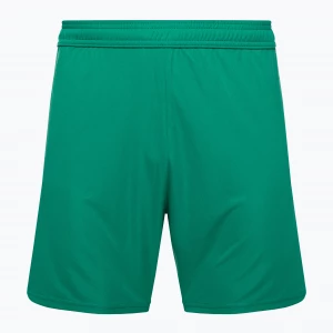 Obrázek produktu Pánské fotbalové šortky Capelli Sport Cs One Adult Match green / white