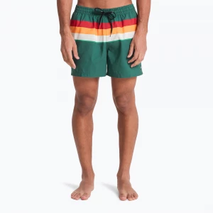 Obrázek produktu Pánské koupací šortky Quiksilver Everyday Printed Volley 15" forest outside stripe Zelená