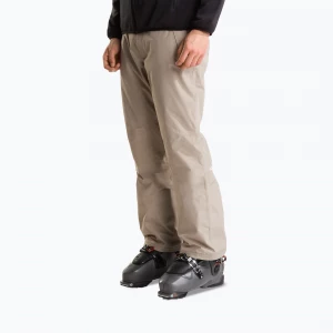 Obrázek produktu Pánské lyžařské kalhoty The North Face Descendit stone slab šedá